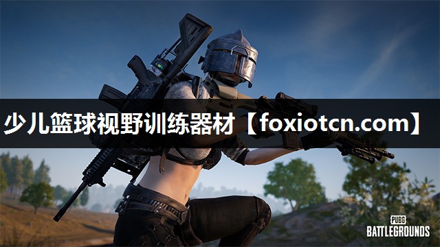 少儿篮球视野训练器材