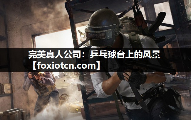 完美真人公司：乒乓球台上的风景