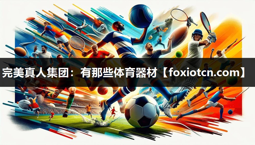 完美真人集团：有那些体育器材
