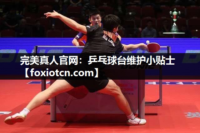 完美真人官网：乒乓球台维护小贴士