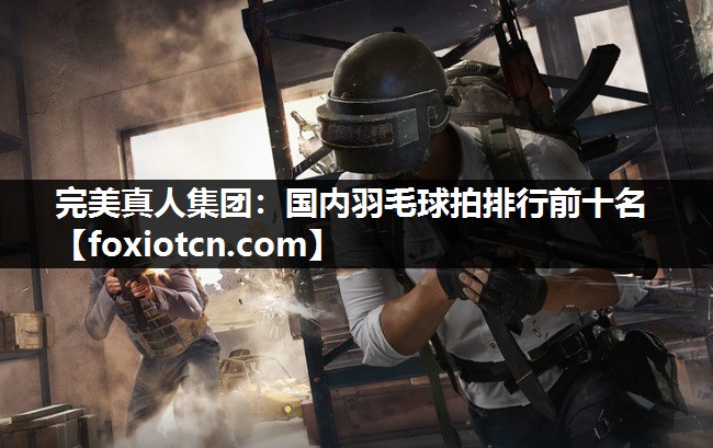 完美真人集团：国内羽毛球拍排行前十名
