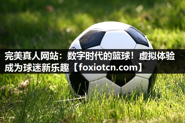 完美真人网站：数字时代的篮球！虚拟体验成为球迷新乐趣