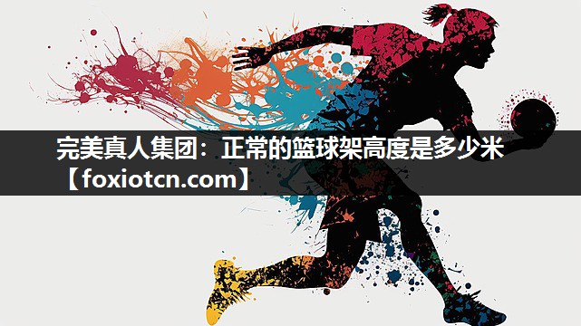 完美真人集团：正常的篮球架高度是多少米