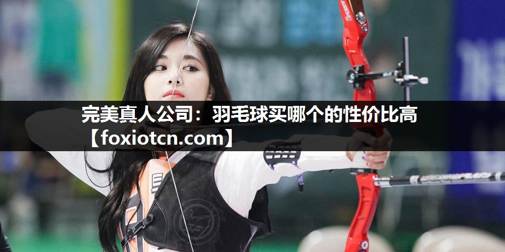 完美真人公司：羽毛球买哪个的性价比高