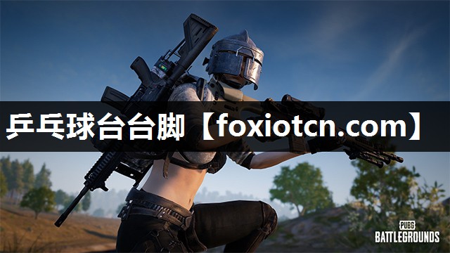 乒乓球台台脚