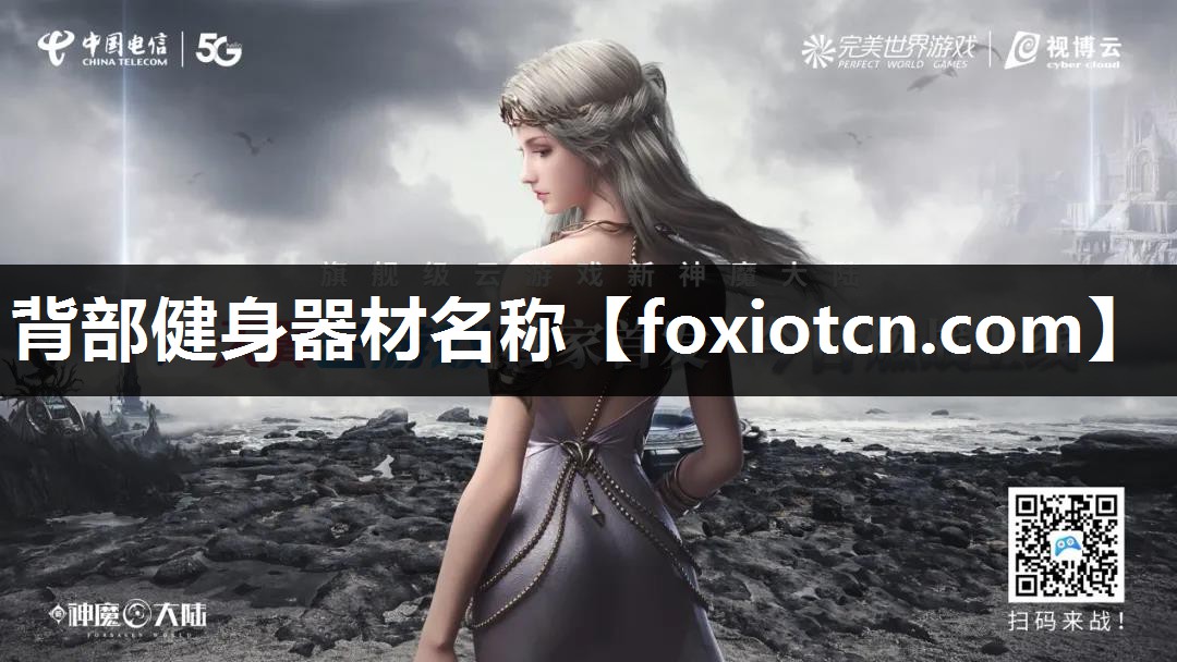 背部健身器材名称