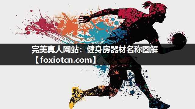 健身房器材名称图解 健身房器材名称图解