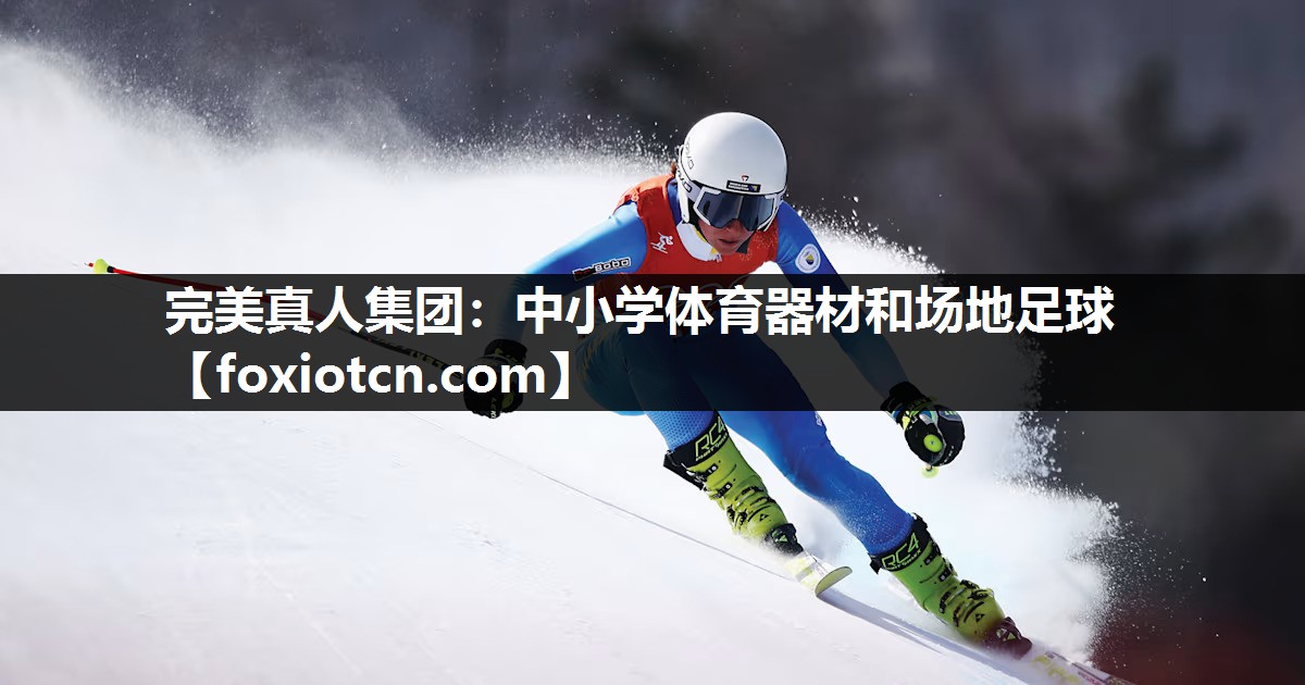 中小学体育器材和场地足球