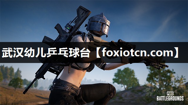 武汉幼儿乒乓球台
