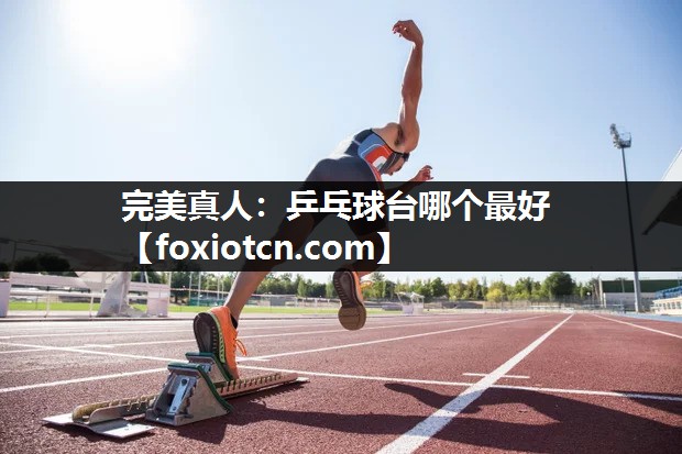 乒乓球台哪个最好