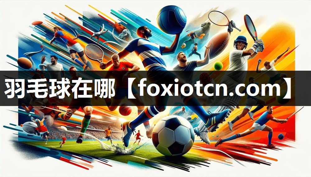 羽毛球在哪