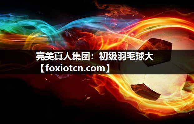 初级羽毛球大