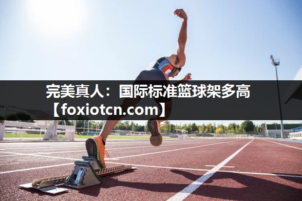 国际标准篮球架多高