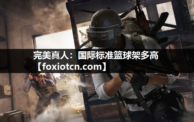 国际标准篮球架多高