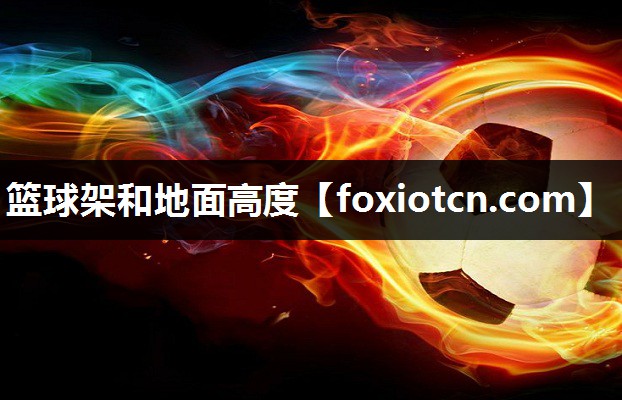 篮球架和地面高度