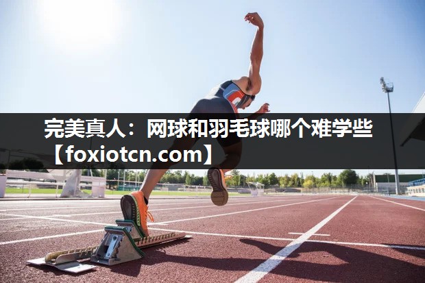 网球和羽毛球哪个难学些
