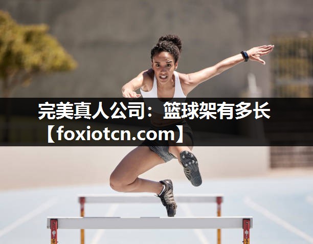 篮球架有多长