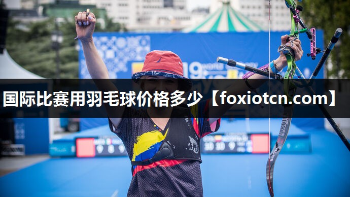 国际比赛用羽毛球价格多少